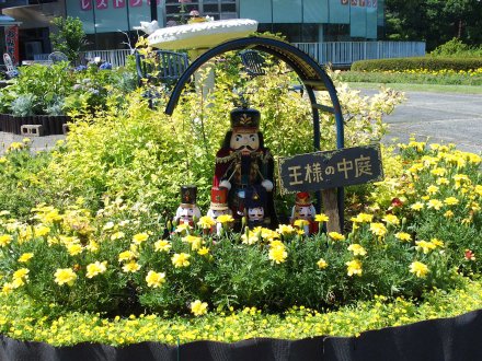 テラス）王様の中庭2025-7-2.JPG
