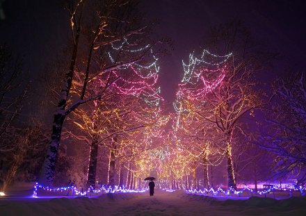 入選　雪降る夜