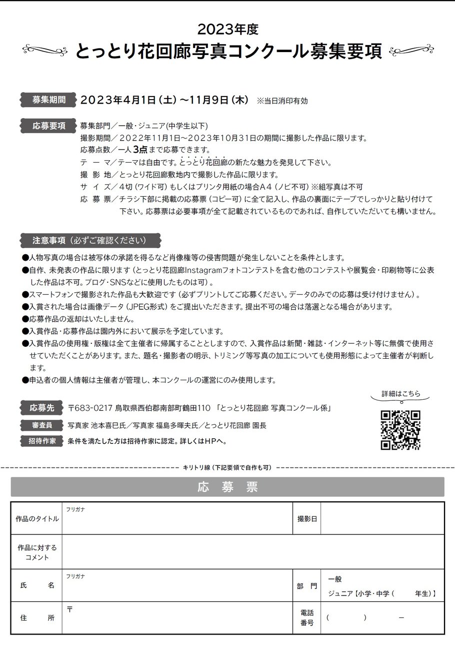 写真コンクール2023チラシ裏