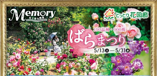 とっとり花回廊 ばらまつり