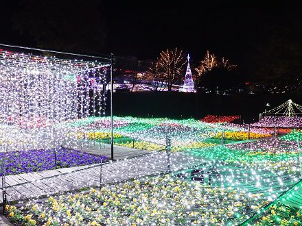 水上花壇のイルミネーション