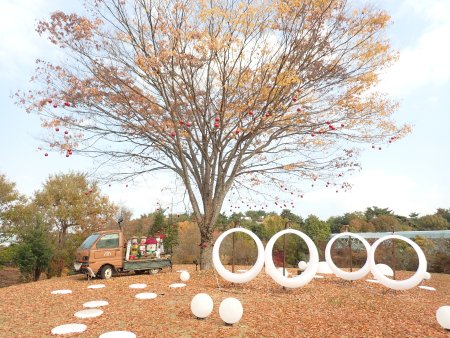 2025.11.14 (ドーム前芝生広場イルミ展示) (21).JPG