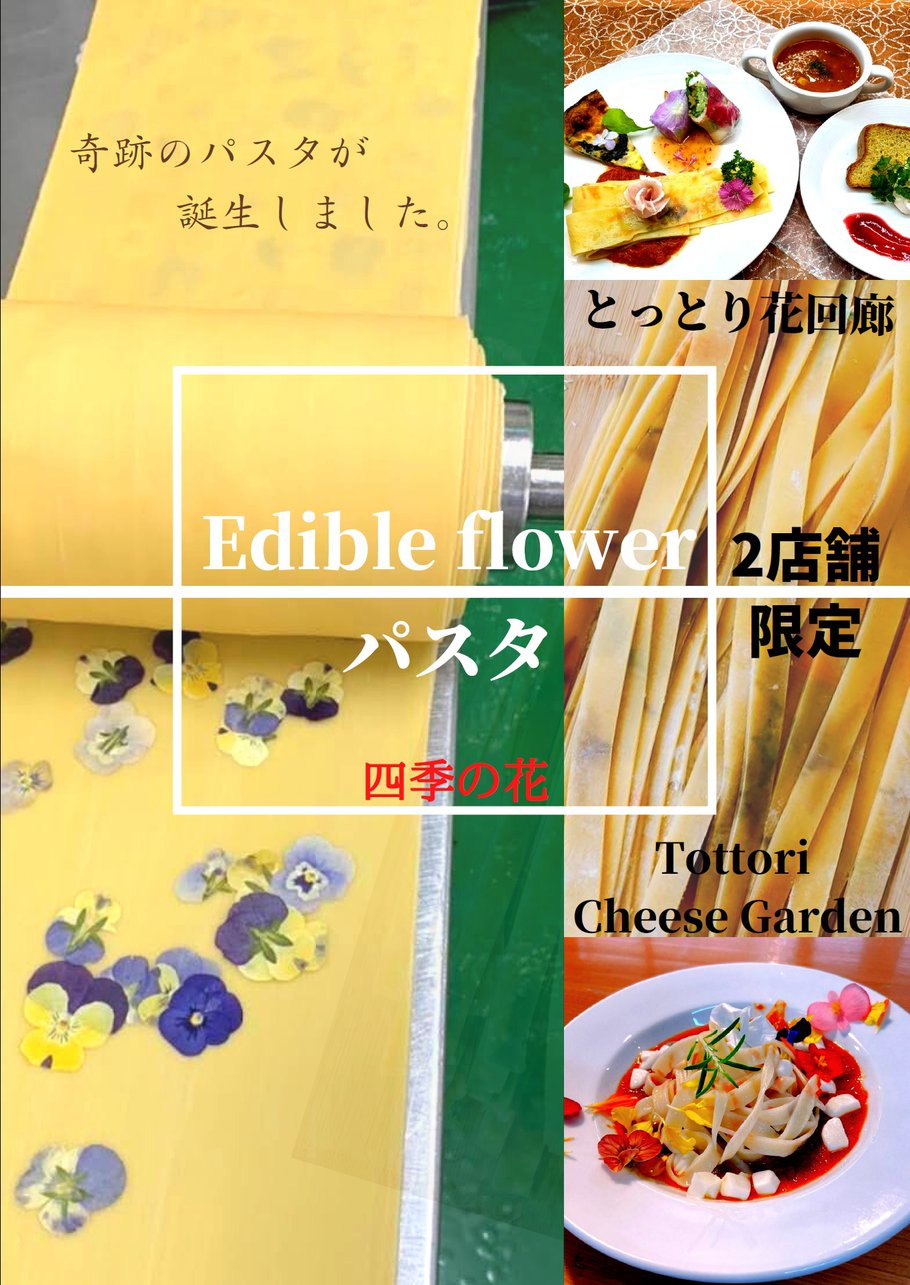 「奇跡のパスタ」ポスターデータ.jpg