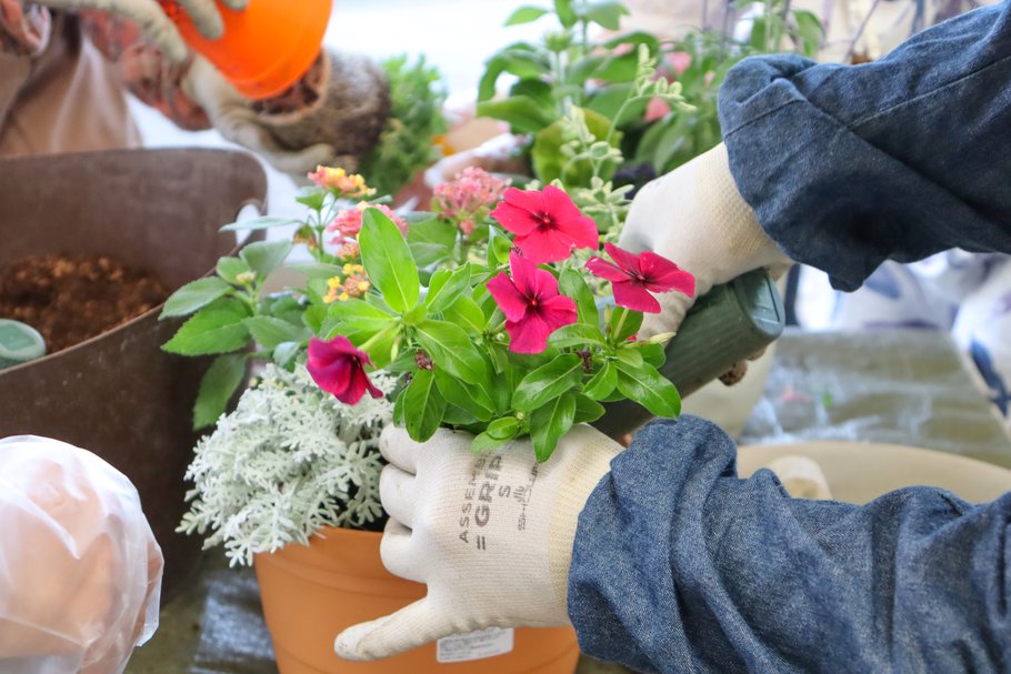寄せ植え体験・西館テラス6月17日（9）.JPG