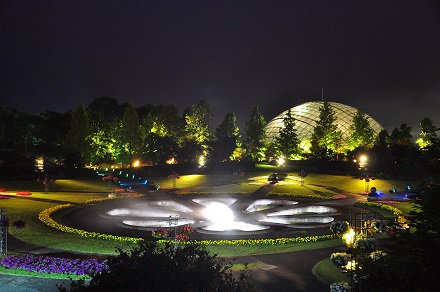 霧の庭園