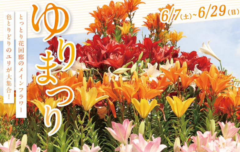 とっとり花回廊 ゆりまつり