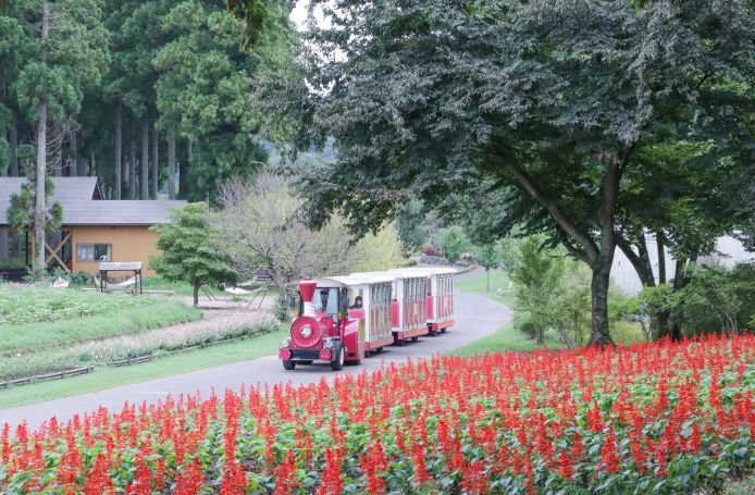 フラワートレイン・花の丘9月23日（2）.JPG
