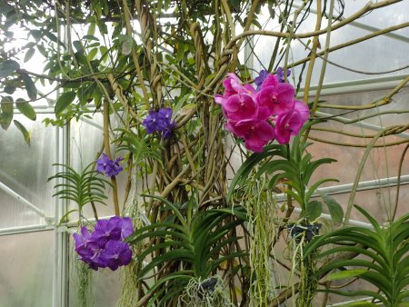 2025.12.23 (南館67) (バンダ12).JPG