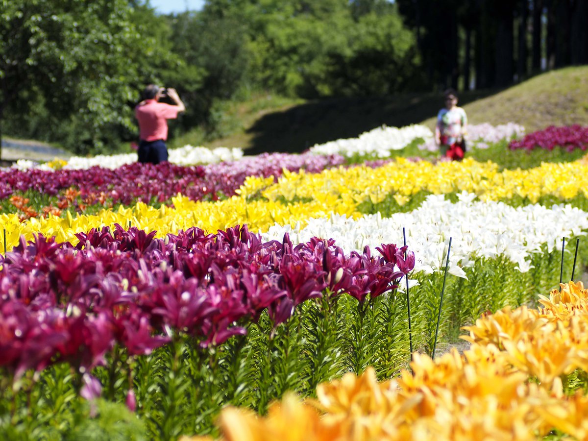 日本最大級別的花卉主題公園 鳥取花迴廊