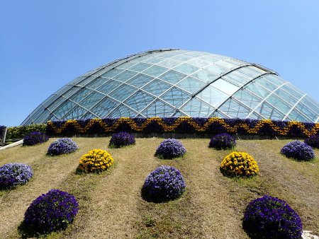 2025.5.1 (カセット花壇29).JPG
