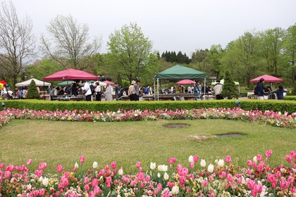 多肉販売会・ヨーロピアンガーデン4月21日（1）IMG_6949.JPG