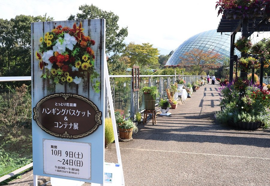 第16回ハンギングバスケット コンテナ展結果発表 とっとり花回廊