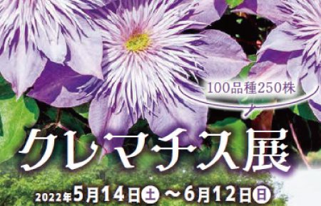 クレマチス展
