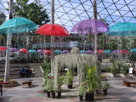 フラワードーム・アンブレラとガゼボ7.JPG