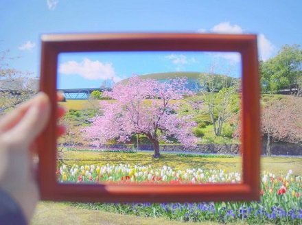 フォトコン10.jpg