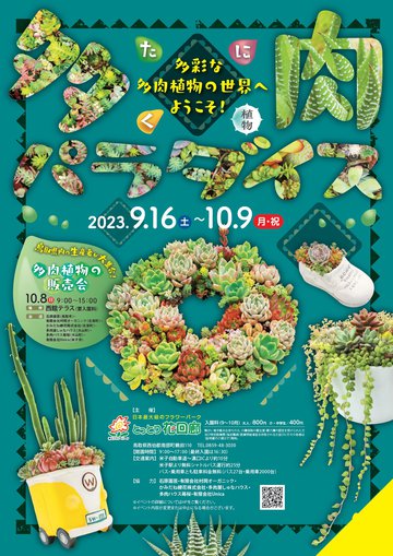 多肉パラダイスチラシ表