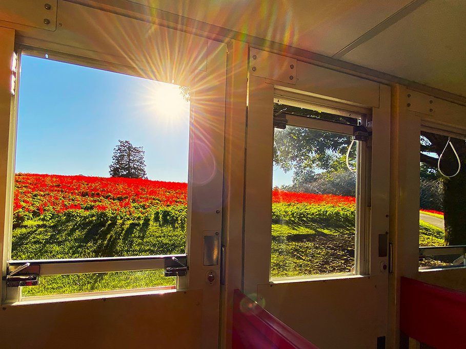 佳作　窓のキャンバス