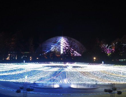 霧の庭園のイルミネーション
