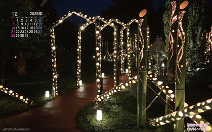 竹あかりの壁紙