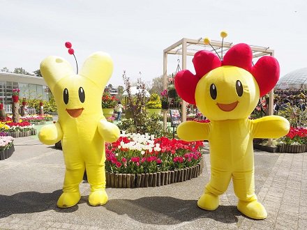 ピロポロふれあいタイム