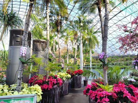 ドーム）ヤシゲート2025.12.15  (1).JPG