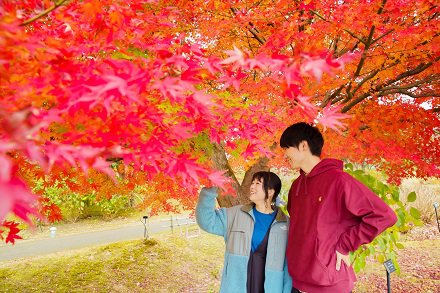 とっとり花回廊instagramフォトコンテスト21 とっとり花回廊