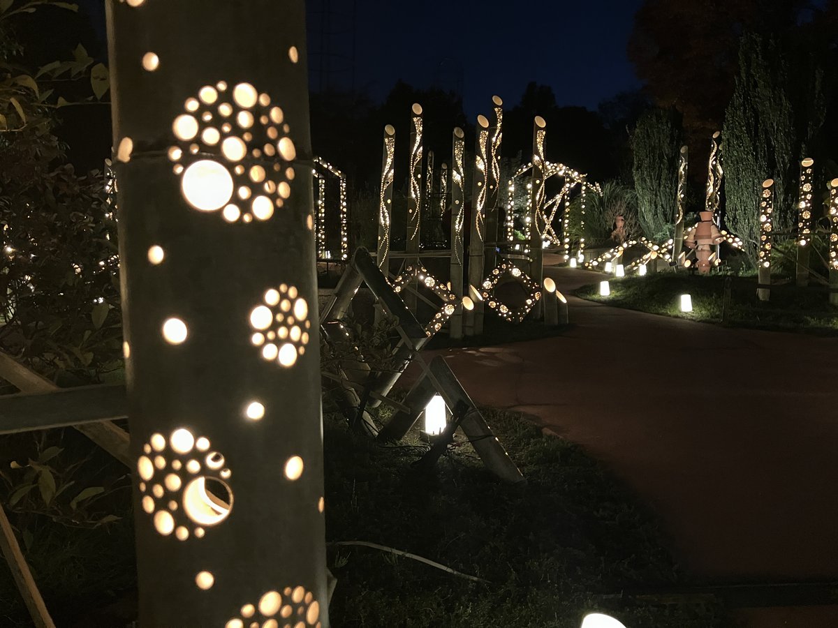 竹あかりの展示