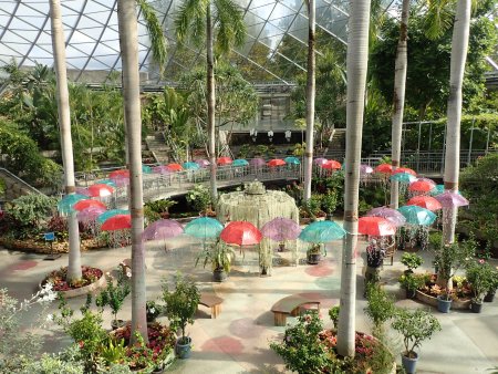 2025.10.28 (フラワードーム) (アンブレラ22).JPG