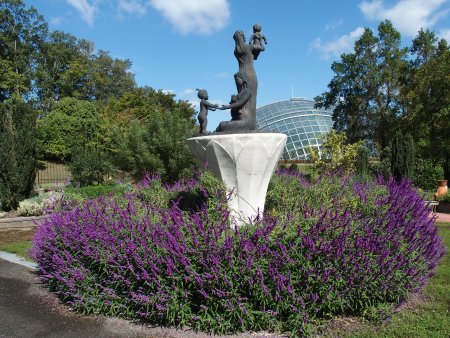 2025.10.09 (ハーブ園51) (ハーブ園・サルビアレウカンサ3).JPG