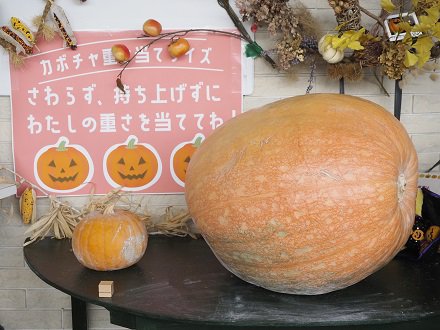 ★巨大カボチャ重さ当てクイズ・西館テラス9月19日(2).JPG