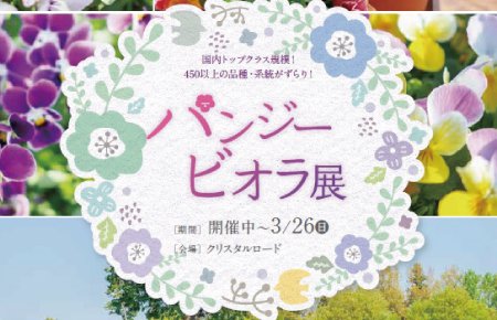 パンジービオラ展