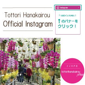 とっとり花回廊公式インスタグラム
