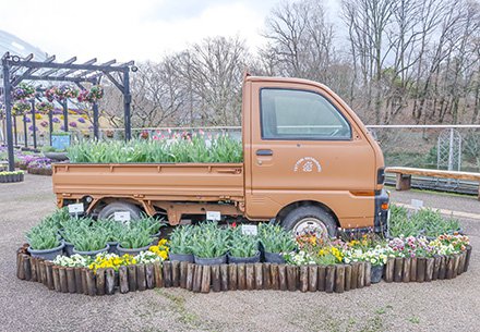 ☆チューリップ・富山産・プロムナード４月２日（1）-440.jpg