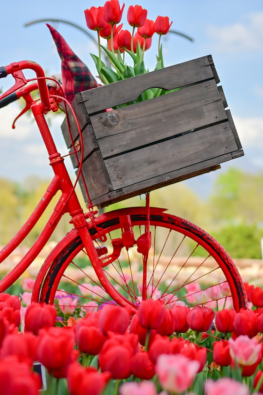 佳作　お届けものです