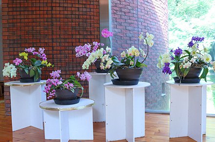 ☆南館６月18日（1）-440.jpg