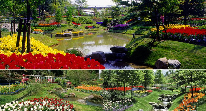 Flower Valley（Keukenhof Garden）