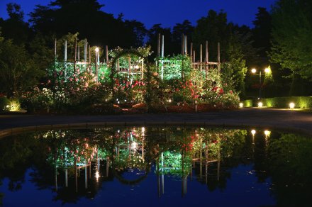 夜間のつるバラの森(外観)