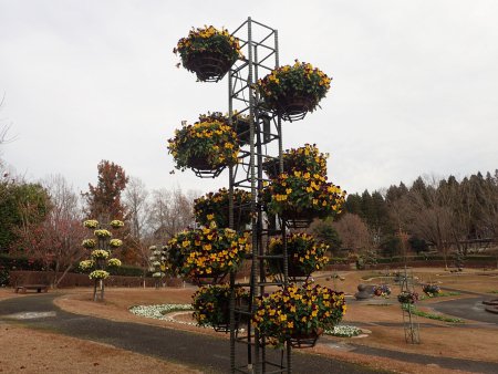 2025.12.23 (霧の庭園) (パンジータワー2).JPG