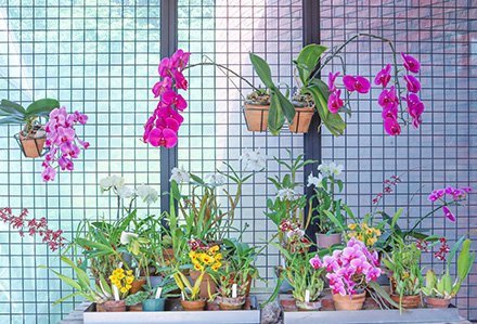 ☆南館６月18日（3）-440.jpg