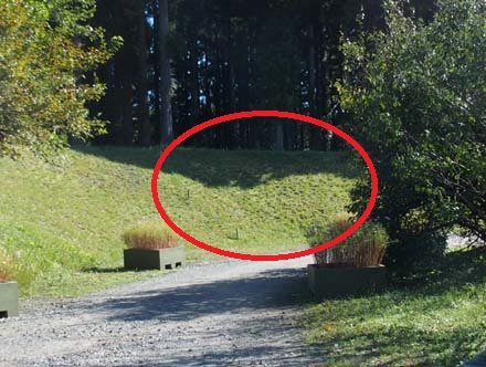 センブリ開花地遠景