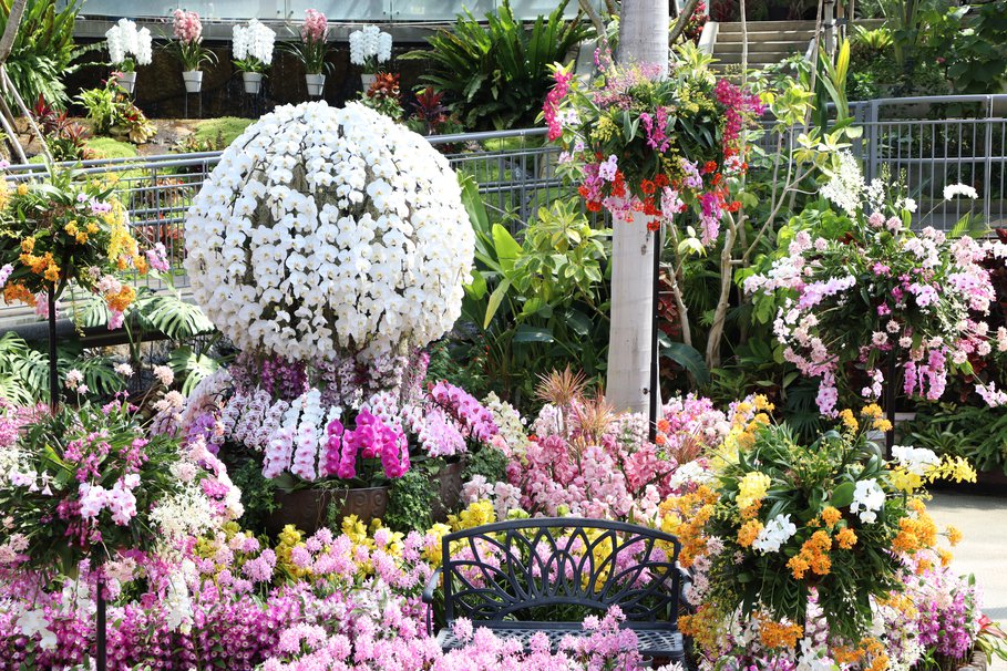 Tottori Prefctural Flower Park