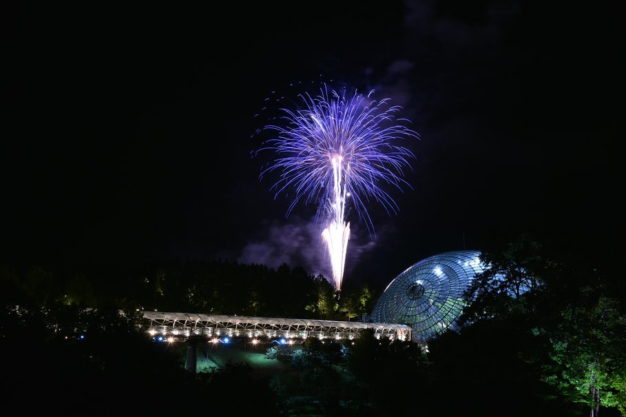 南部町民花火大会