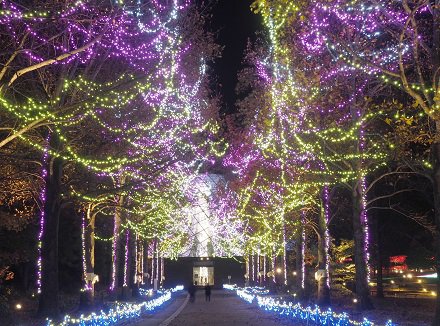 東館通りのイルミネーション