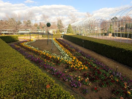 2025.12.9 (花壇) (ヨーロピアンガーデン1).JPG