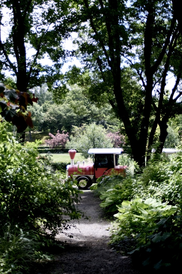 小道の向こう、夏がくる