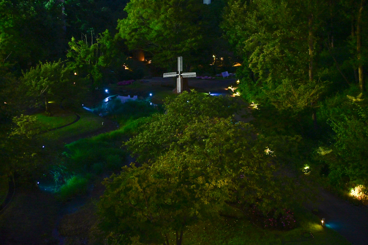 Fairies forest〜妖精達の森〜