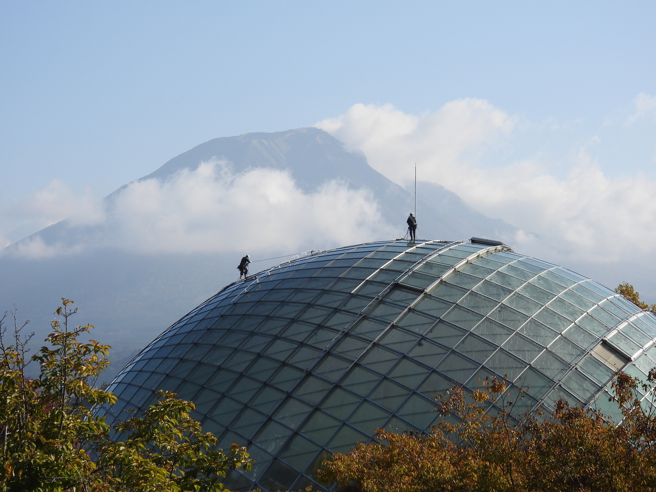 縁の下の力持ち