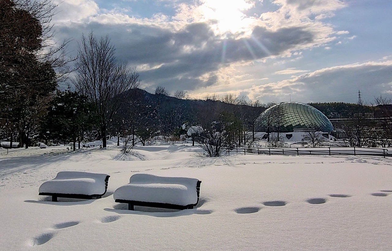 花の丘にやってきた冬のお客さま