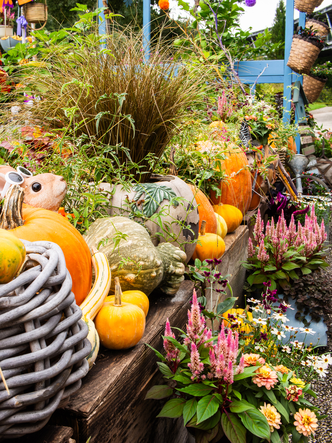 華やかなハロウィン