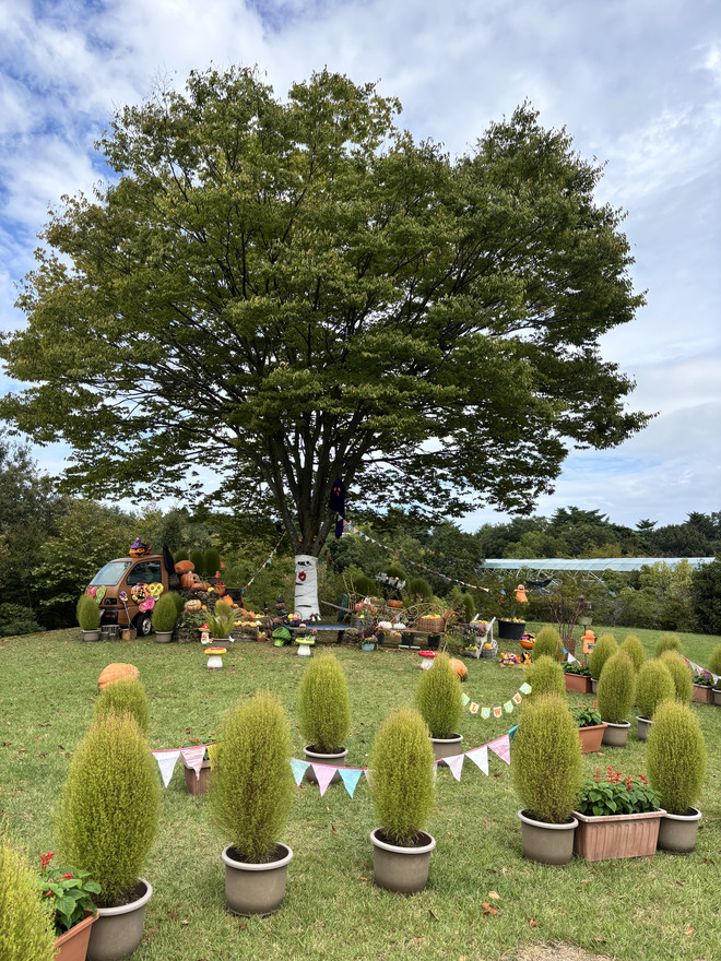 トリックオアトリート